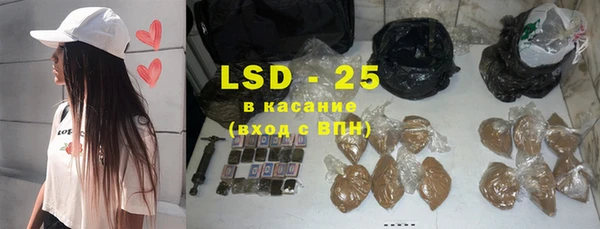 крисы Абаза