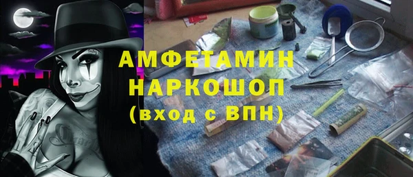 крисы Абаза