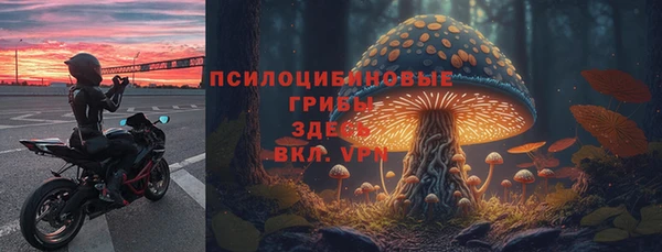 крисы Абаза